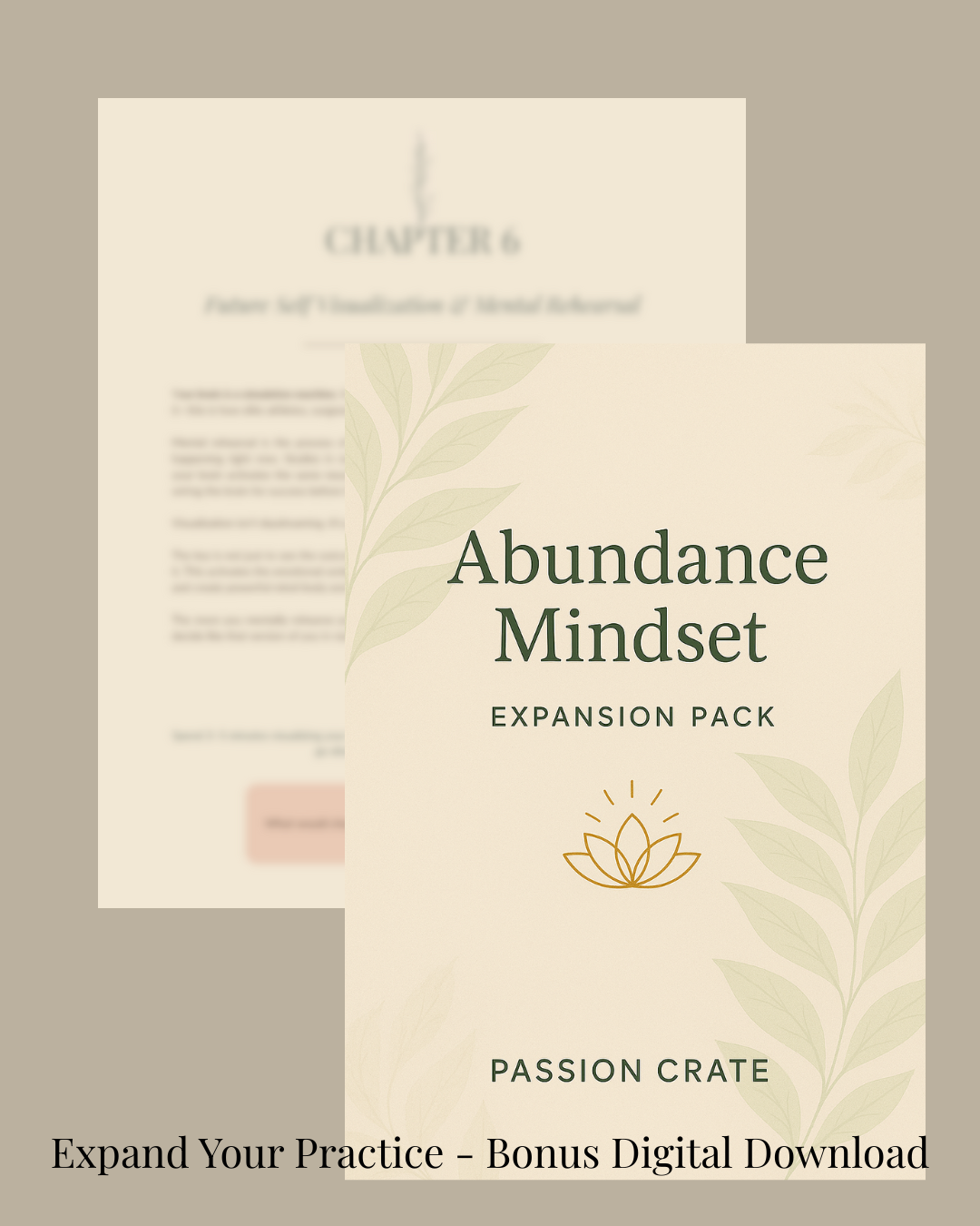 Expansion Pack (Chapters 6–8)