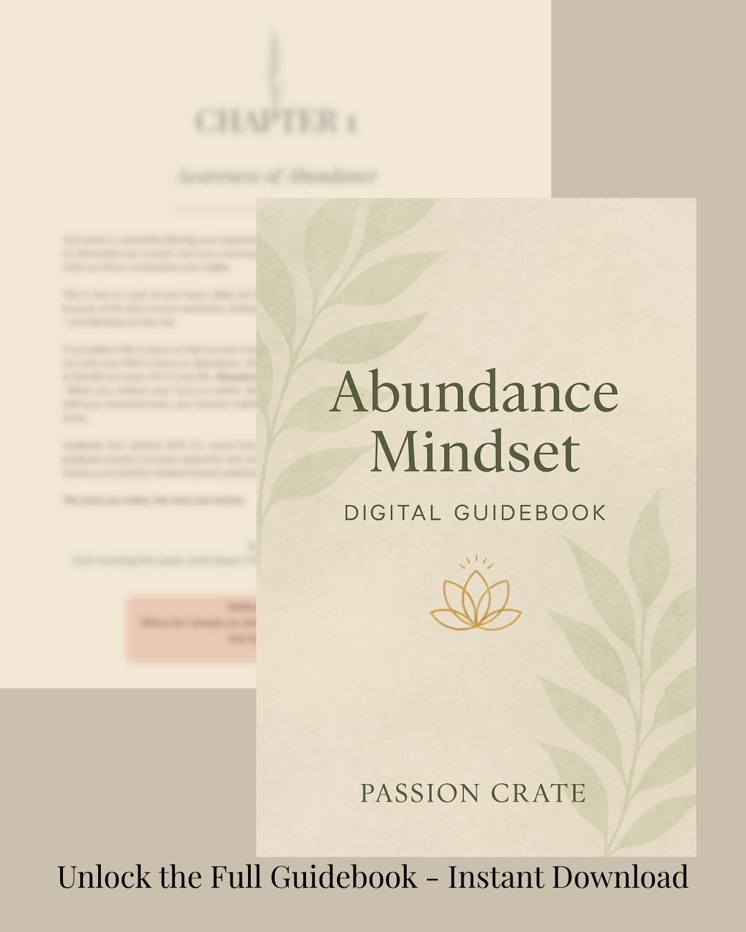 Abundance Mindset Guidebook